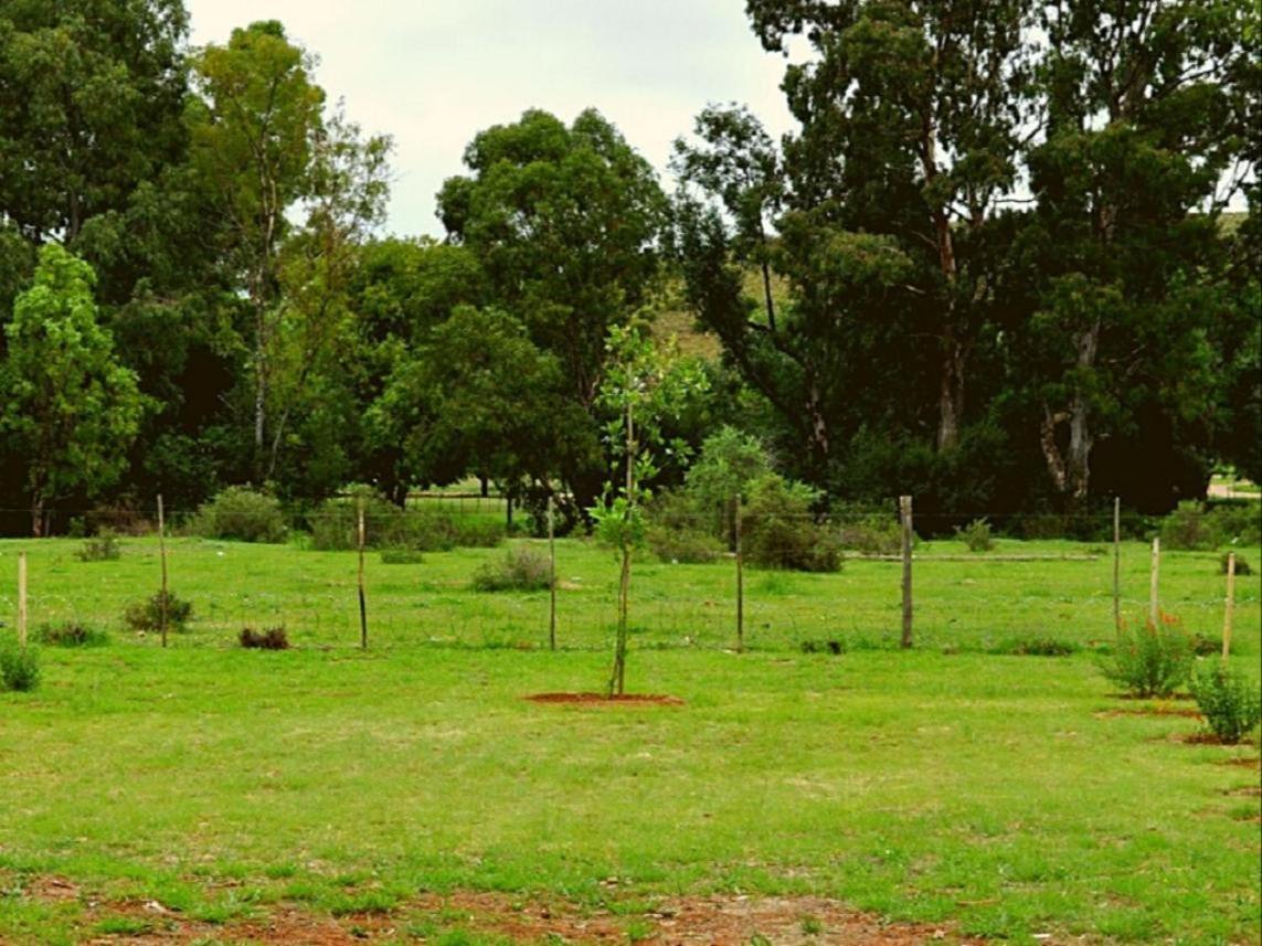 Hotel Little Farms Colesberg Esterno foto